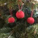 Jule æbler og appelsiner