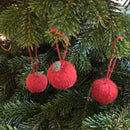 Jule æbler og appelsiner