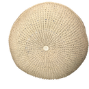 Pude, Rhinsk Møllesten