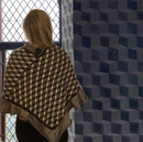 Poncho, Danehofsalen Nyborg Slot