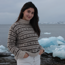 Dyrehandler Clausens Sweater