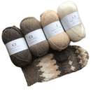 Bernie Sanders vanter