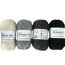 Bernie Sanders vanter