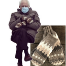 Bernie Sanders legendariske vanter fra indsættelsen af præsident Joe Bidden